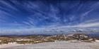 Near Rawsons Pass - Kosciuszko NP - NSW T (PBH4 00 10598)